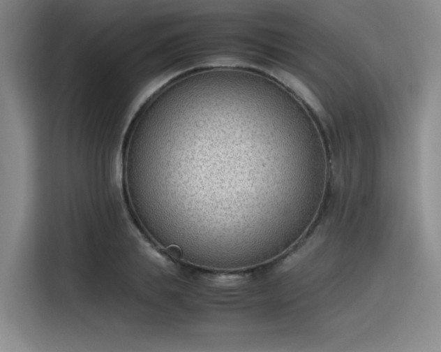 X0000115780839200911201310