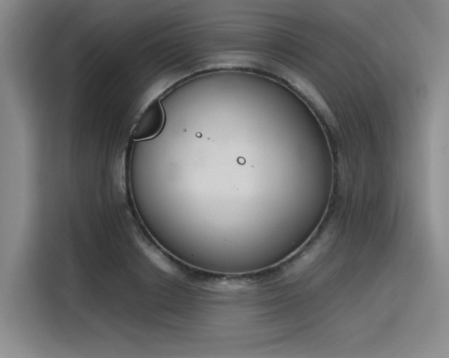 X0000115780842200911201310