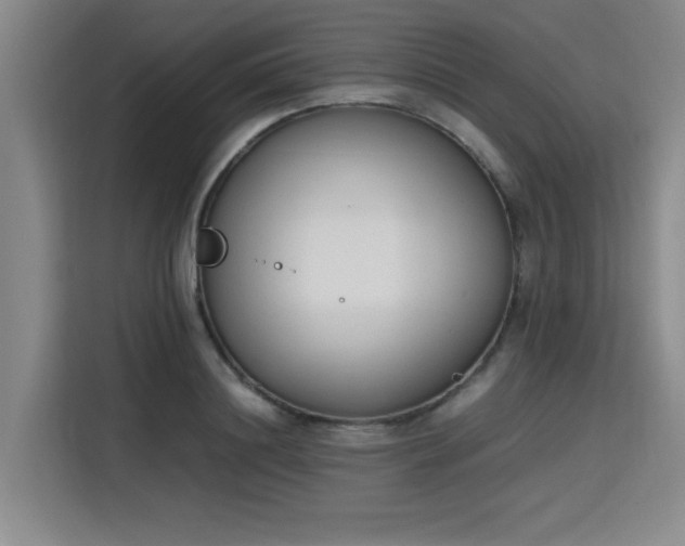 X0000115780844200911201310