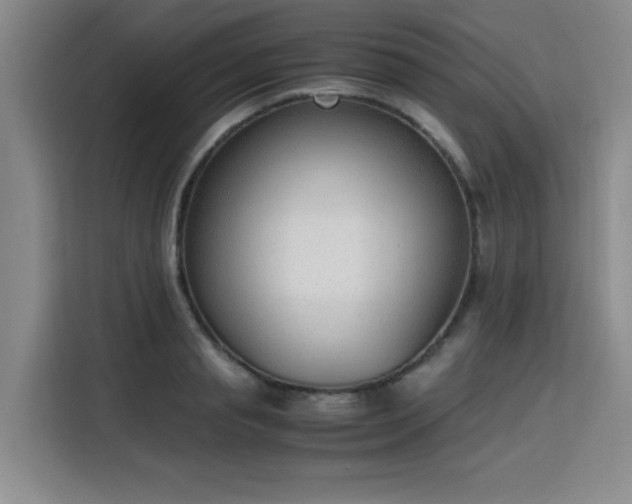 X0000115780845200911201310