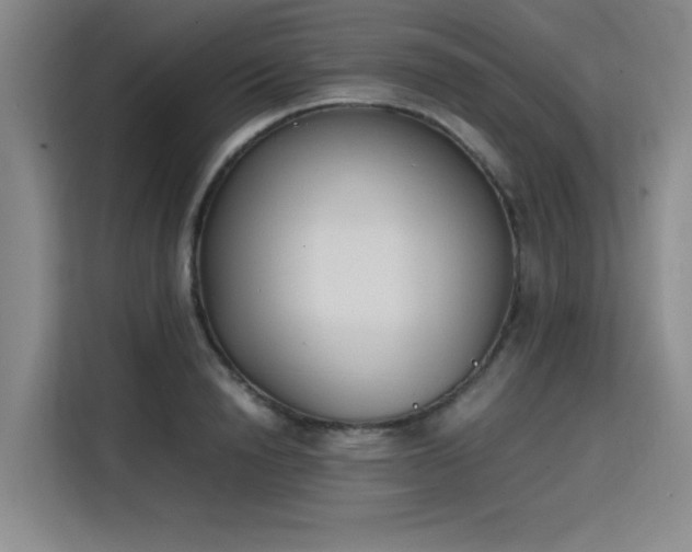 X0000115780846200911201310