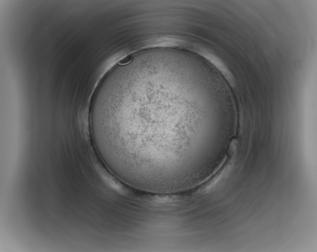 X0000115780850200911201310
