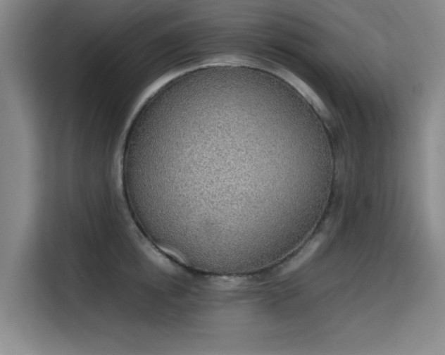 X0000115780854200911201310