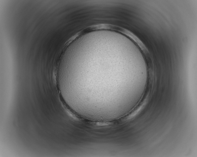 X0000115780857200911201310