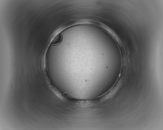 X0000115780858200911201310