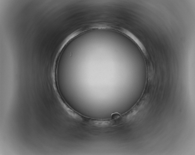 X0000115780861200911201310