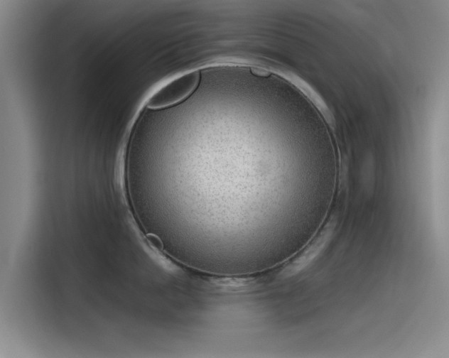 X0000115780862200911201310