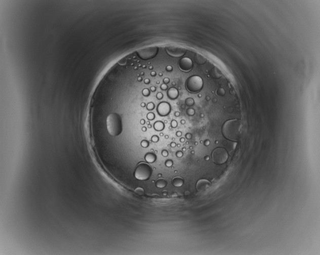 X0000115780863200911201310
