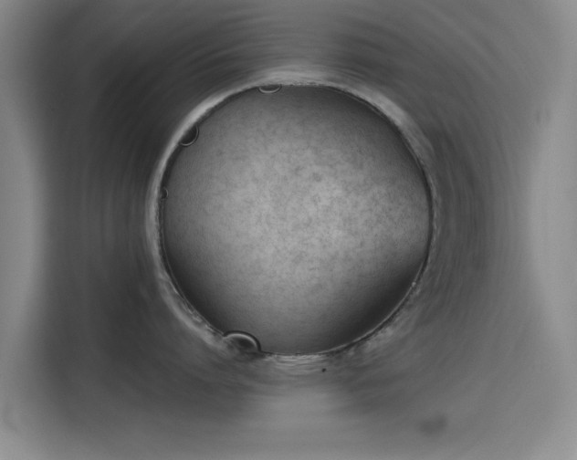 X0000115780864200911201310