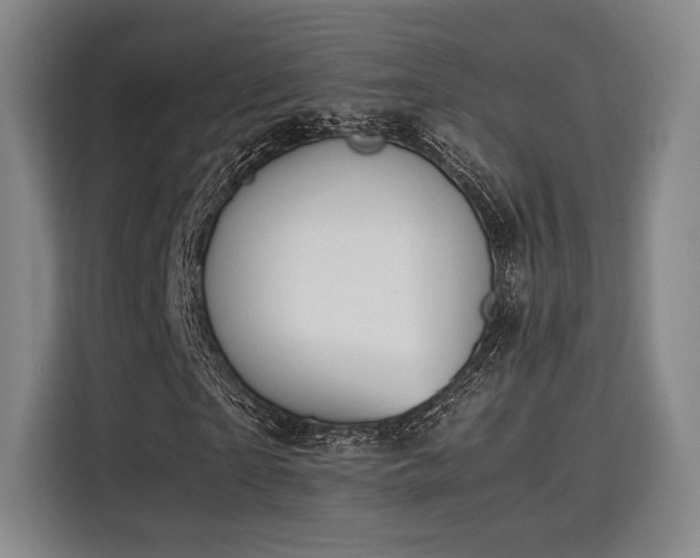 X0000115780865200911201310