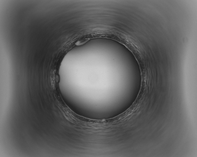 X0000115780868200911201310