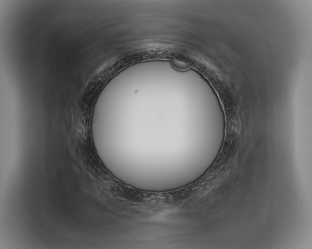 X0000115780869200911201310