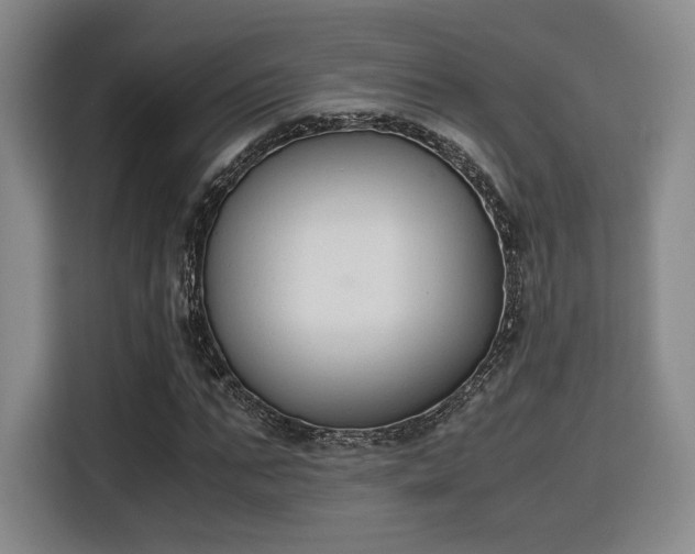 X0000115780871200911201310