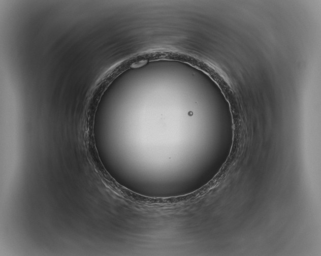 X0000115780872200911201310