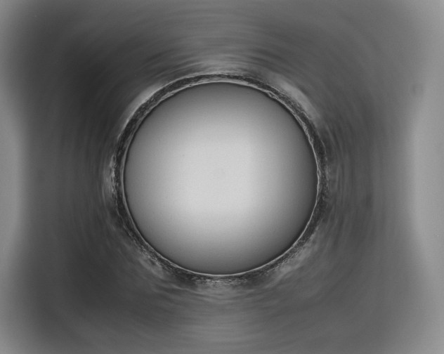 X0000115780875200911201310