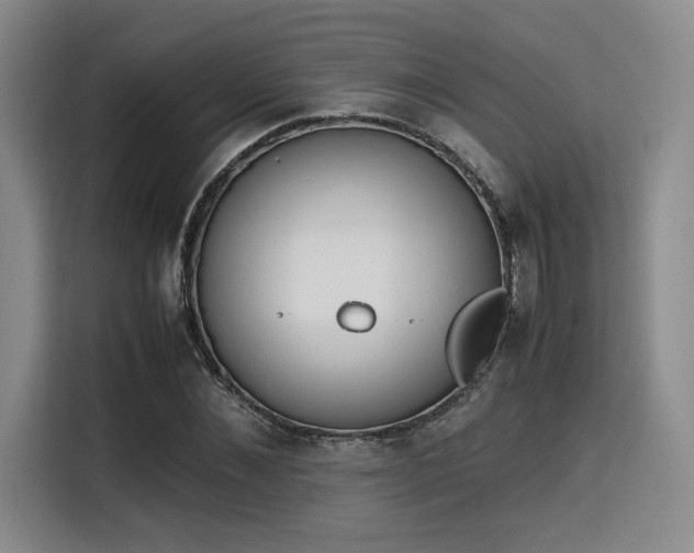 X0000115780876200911201310