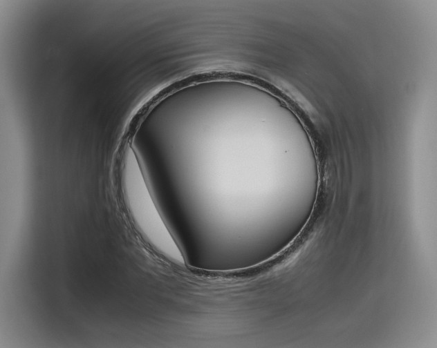 X0000115780877200911201310