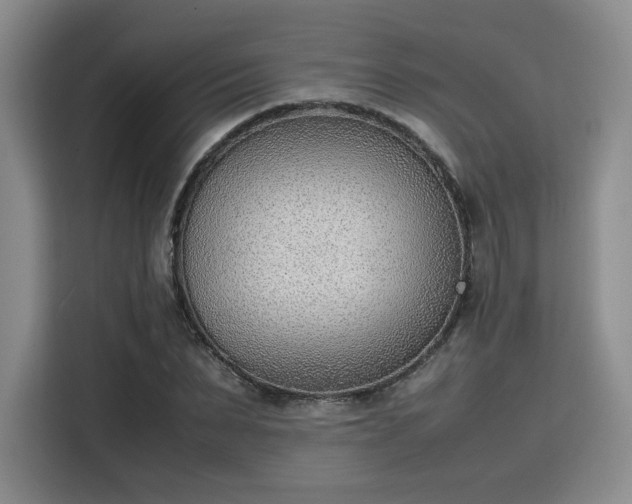 X0000115780879200911201310