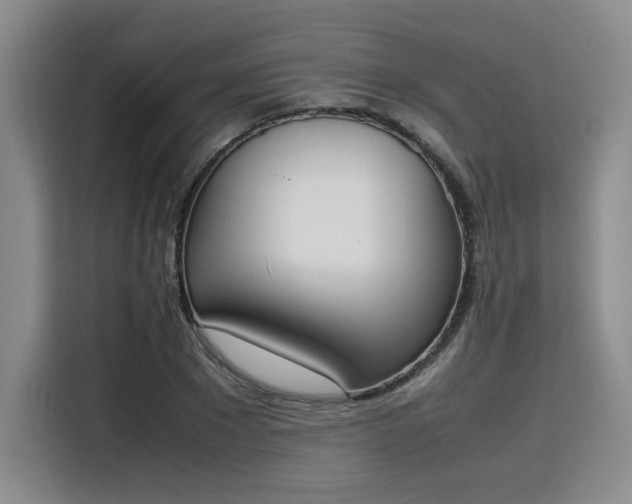 X0000115780881200911201310