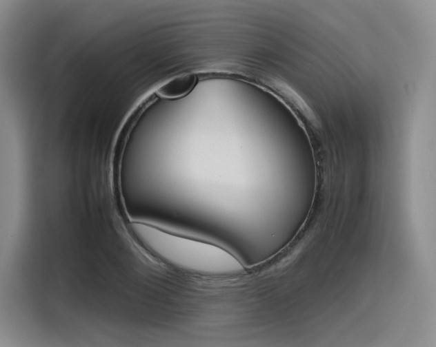 X0000115780884200911201310