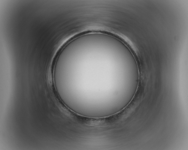 X0000115780887200911201309