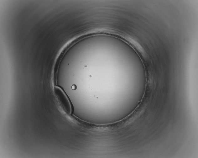 X0000115780888200911201309