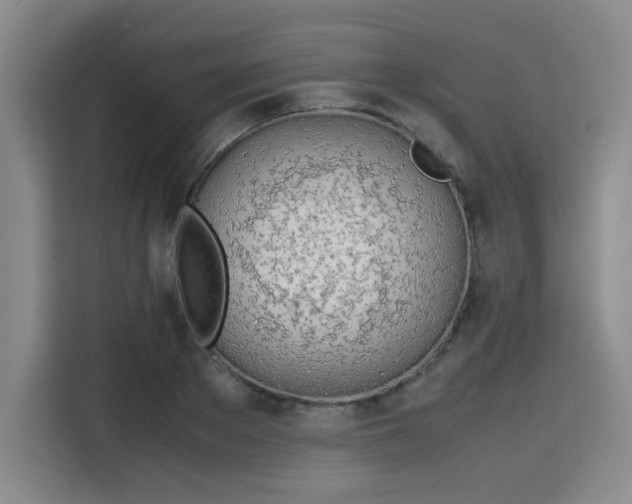X0000115780889200911201309