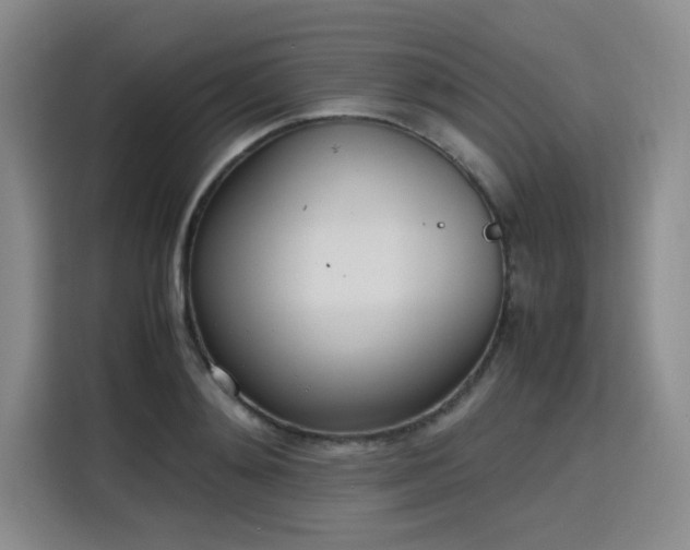 X0000115780892200911201309