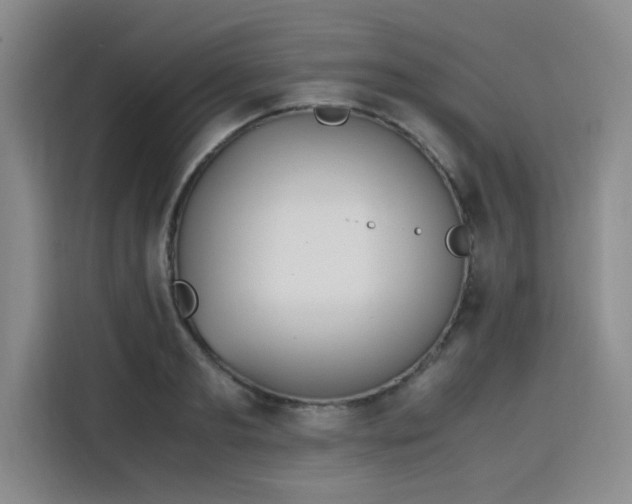 X0000115780893200911201309