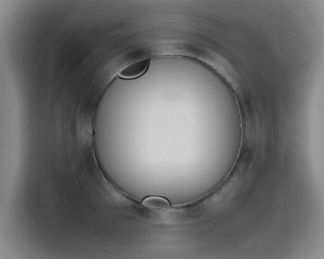 X0000115780897200911201309