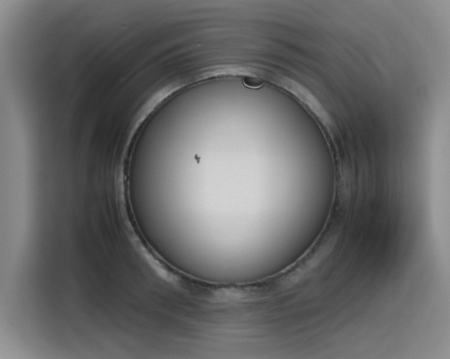 X0000115780898200911201309