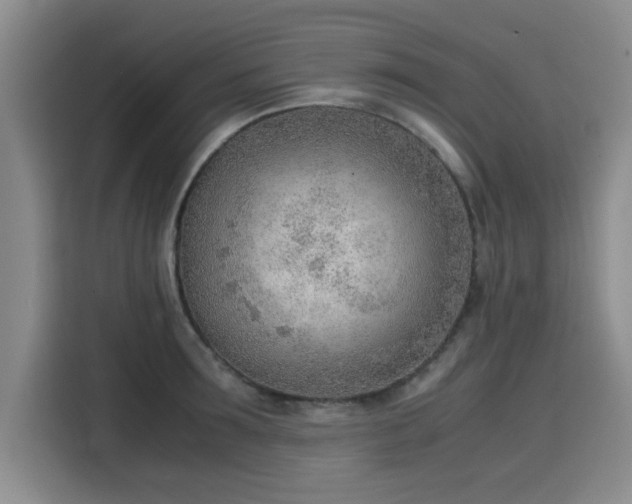 X0000115780899200911201309