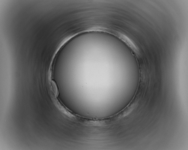 X0000115780900200911201309
