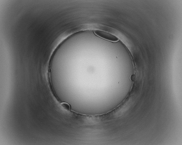 X0000115780901200911201309