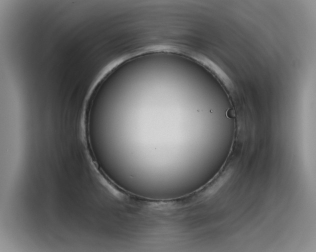 X0000115780902200911201309