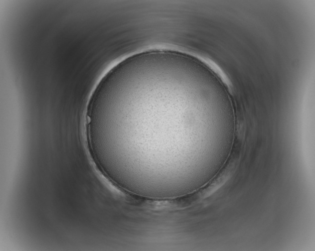 X0000115780903200911201309