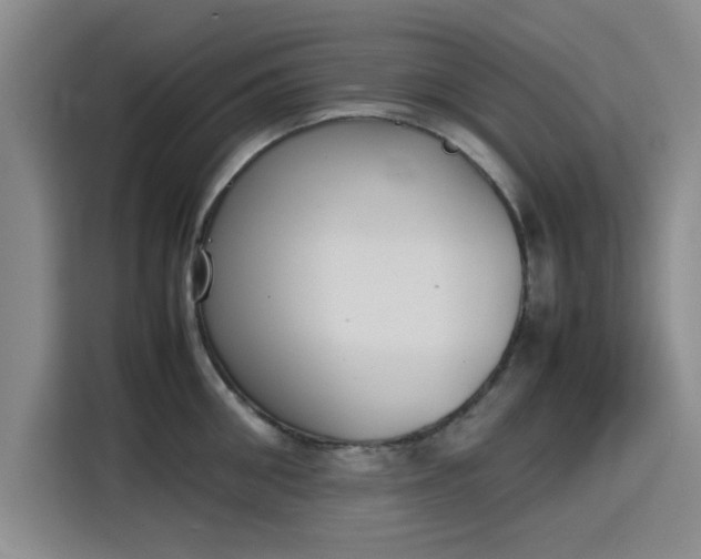 X0000115780906200911201309