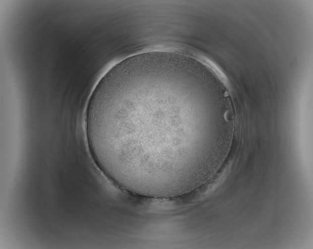 X0000115780907200911201309