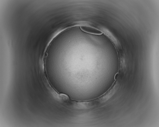 X0000115780908200911201309