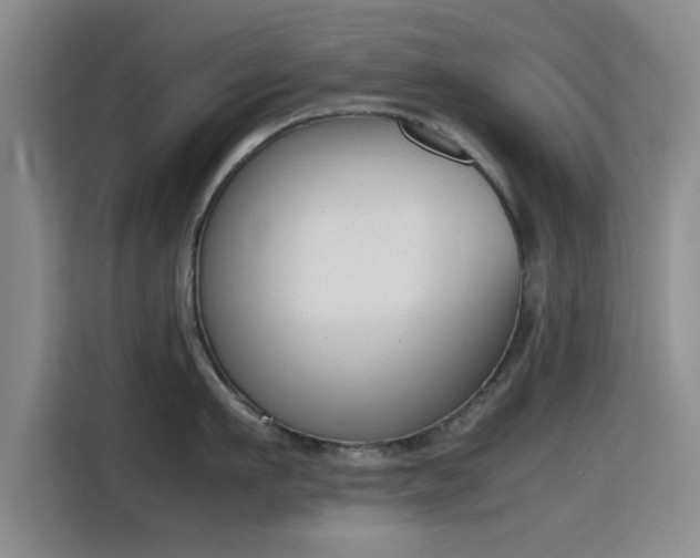 X0000115780911200911201309