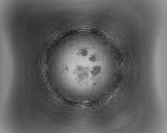 X0000115780913200911201309