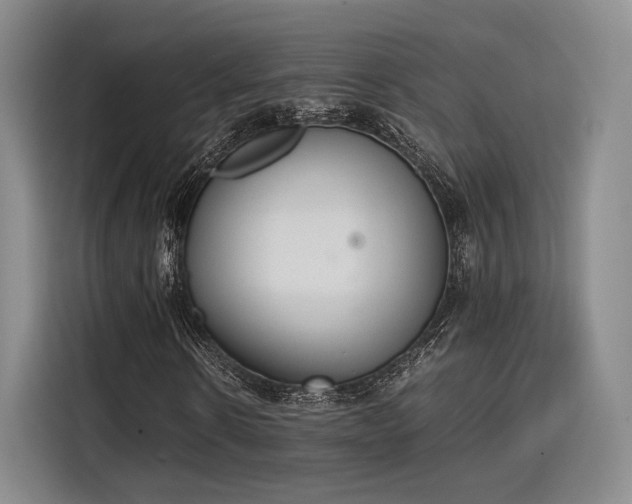 X0000115780914200911201309