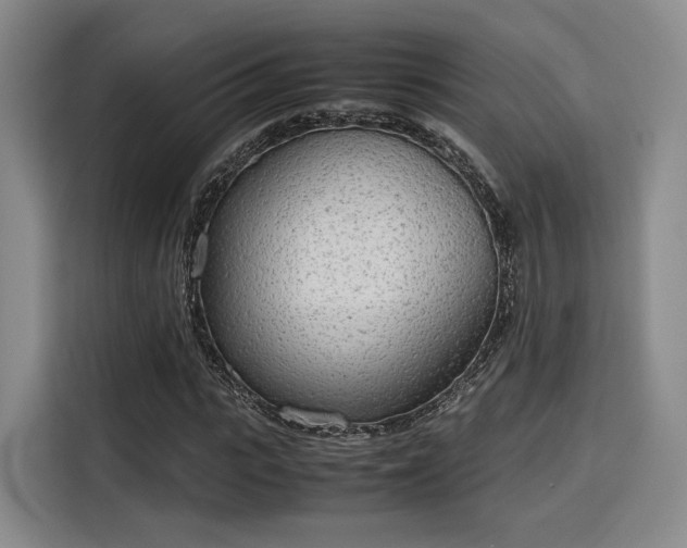 X0000115780919200911201309