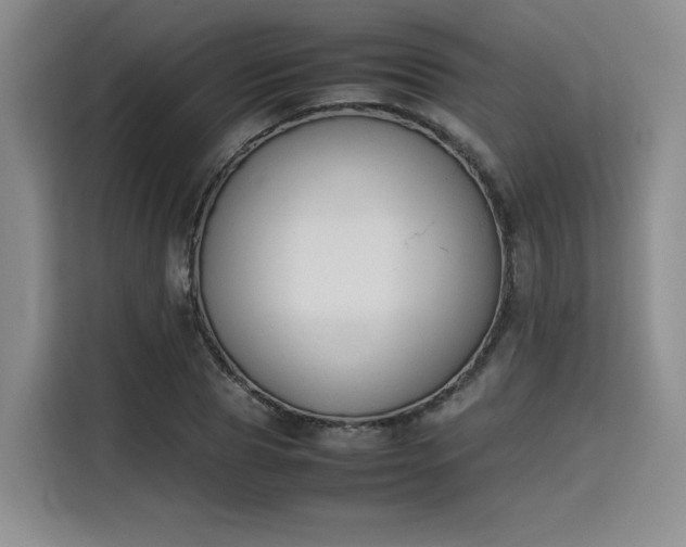 X0000115780929200911201309