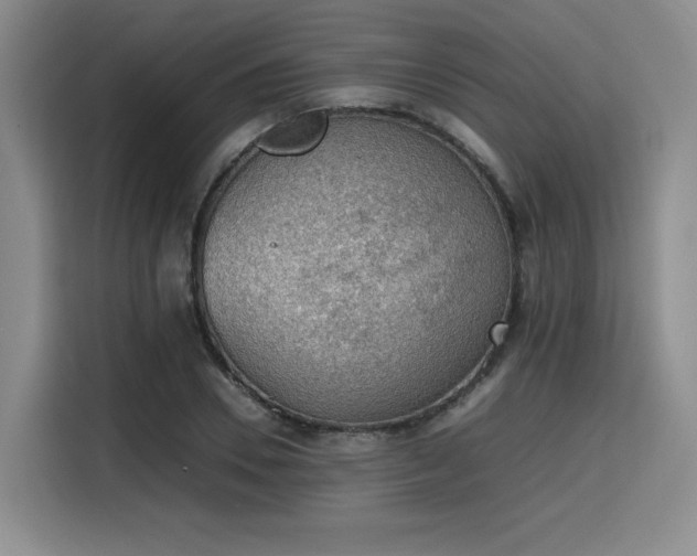 X0000115780930200911201309