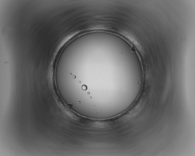 X0000115780933200911201309
