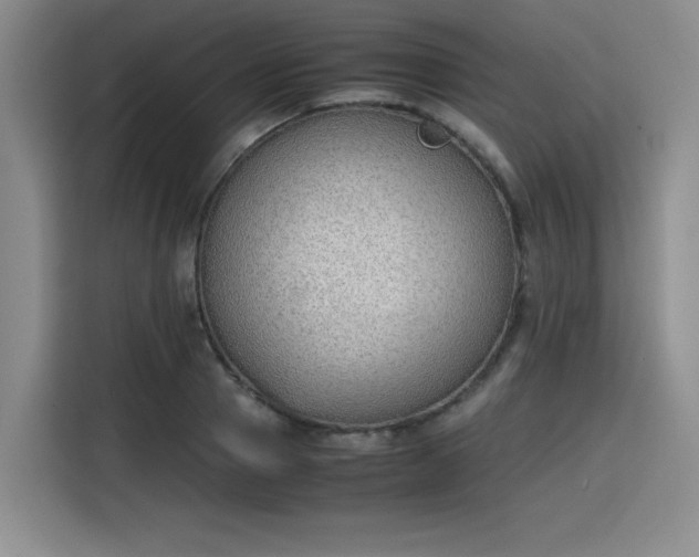 X0000115780937200911201309