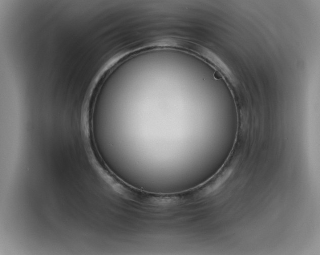 X0000115780939200911201309