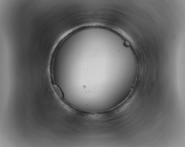 X0000115780943200911201309