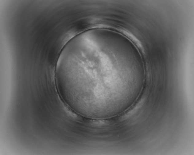 X0000115780945200911201309